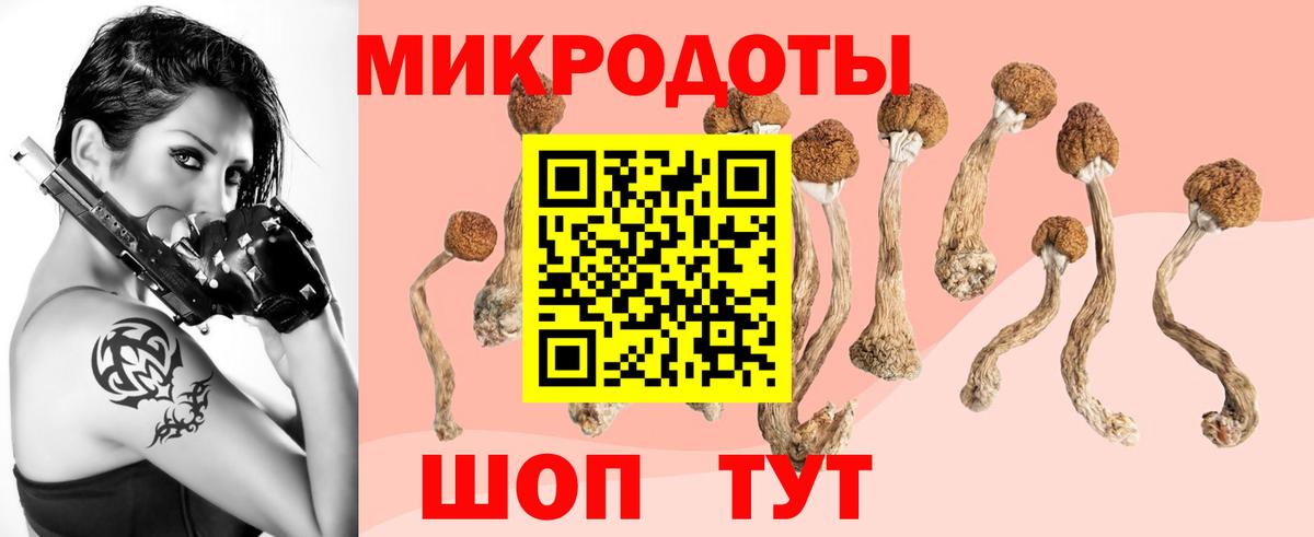 НБОМе  Кокаин  Меф   Alpha PVP СК   Метадон  Дедовск  Codein  ГАШИШ  ГАШ  Вход с VPN 